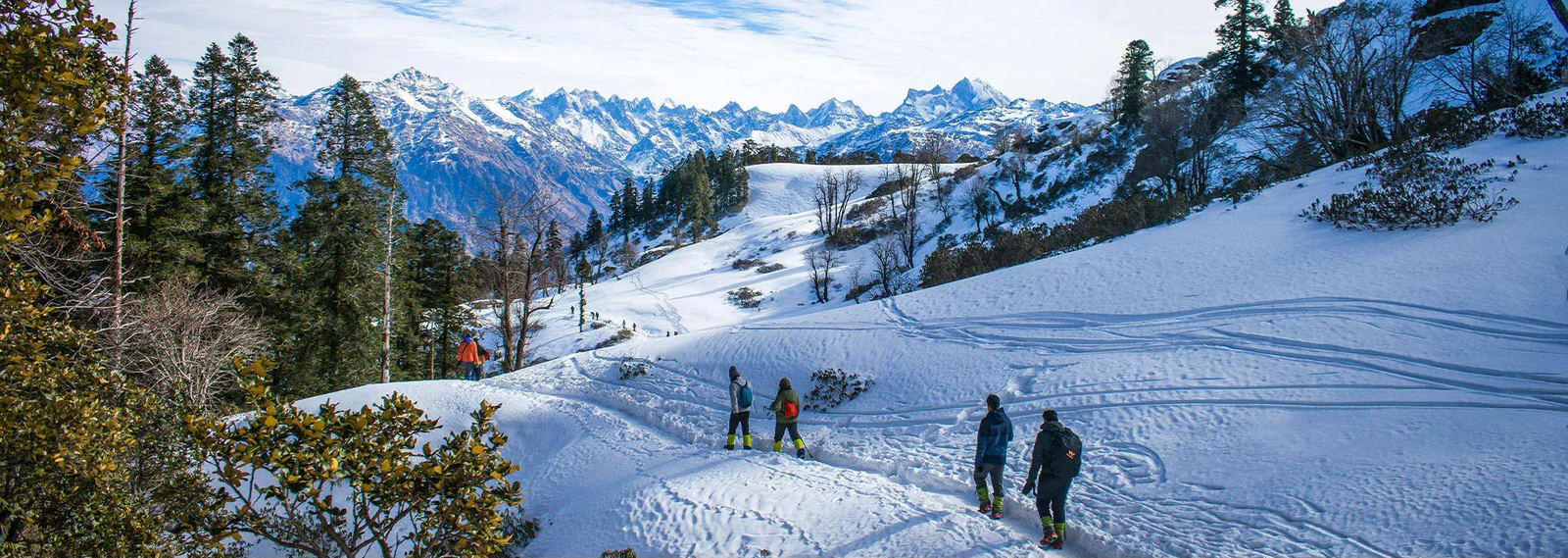 Best Tour Packages in India