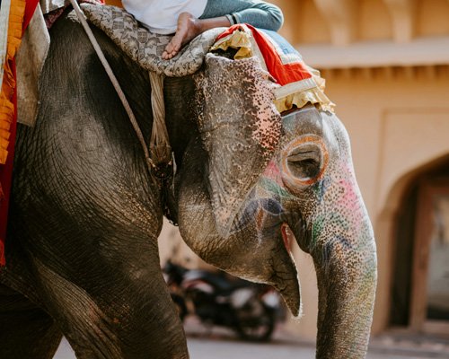 3 Days Golden Triangle Tour