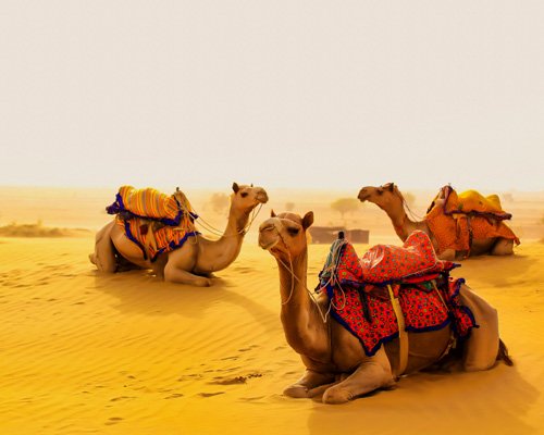 jaisalmer